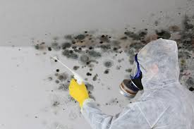 Mercersburg, PA Mold Inspection Company